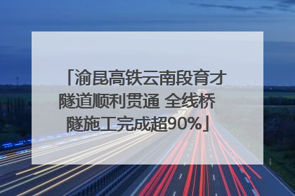 渝昆高铁云南段育才隧道顺利贯通 全线桥隧施工完成超90%